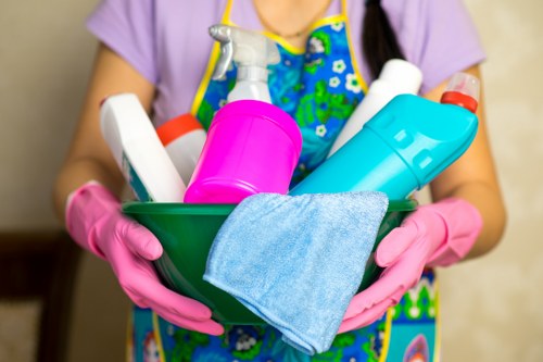 Accessibility statement introduction for Manor Park Carpet Cleaners