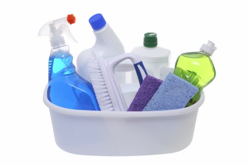 Insurance and safety-focused carpet cleaning service in a home setting