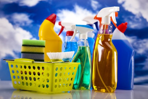 Professional mattress cleaning in Manor Park with deep cleaning equipment