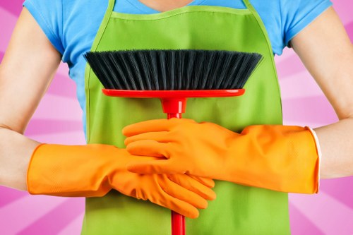 Professional upholstery cleaning in Manor Park for a fresh sofa