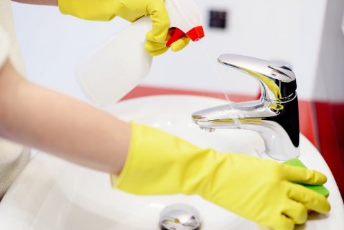 Manor Park Carpet Cleaners providing professional carpet care in a local home