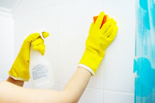 Steam cleaning carpet fibres in Manor Park
