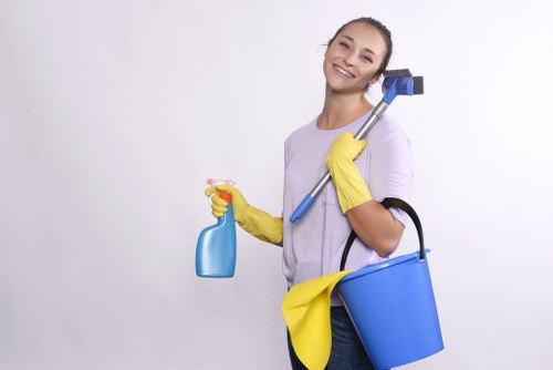 Local carpet cleaning team in Manor Park focusing on clean and fresh carpets