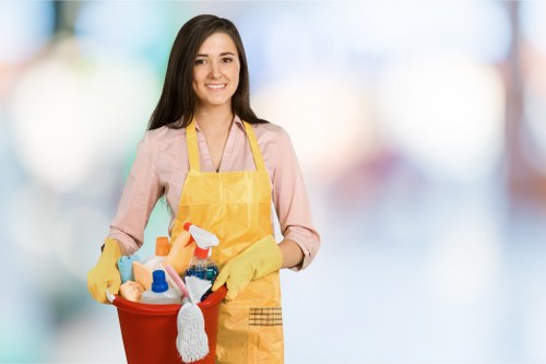 Transparent carpet cleaning quote explanation and rate options