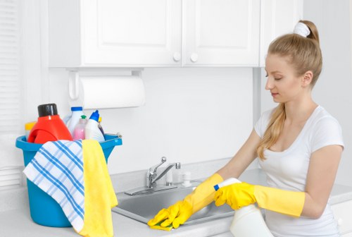 Upholstery deep cleaning in Manor Park removing dust and stains